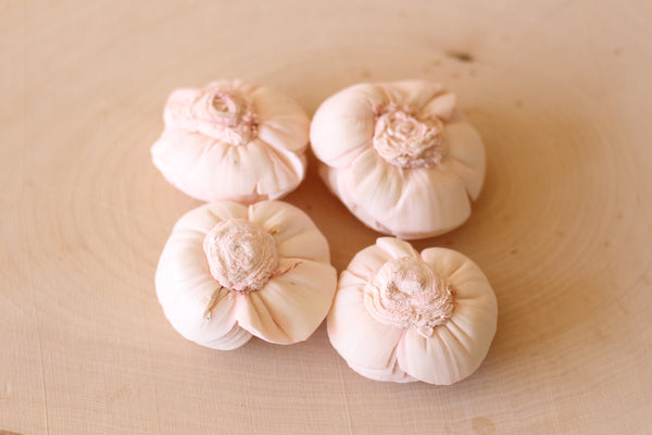 Blush Pink Sola Wood Shell Flowers 2" ( Set of 12 )