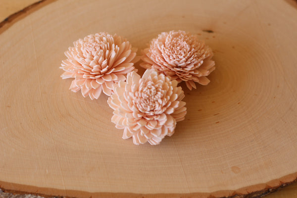 Blush Pink Sola Wood Zinnia Flowers 2" ( Set of 12 )