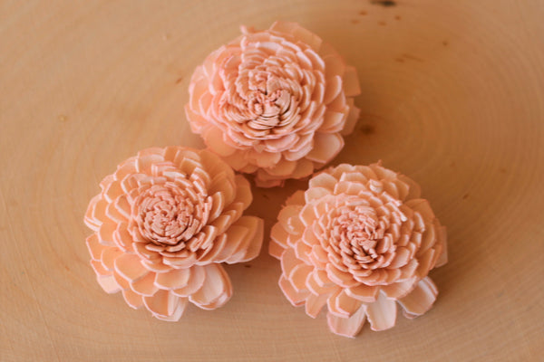 Blush Pink Bali Sola Flowers 2" ( Set of 12 )