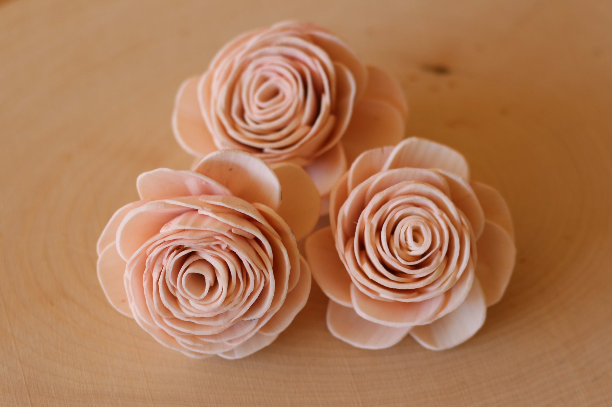 Blush Pink Sola Wood English Rose 2" ( Set of 12 )