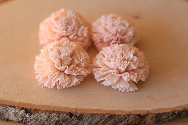 Blush Pink Sola Wood Carnations 2" ( Set of 12 )