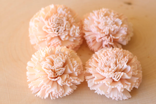 Blush Pink Sola Wood Carnations 2" ( Set of 12 )