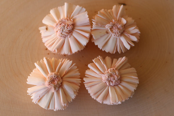 Blush Pink Sola Wood Carnations 2" ( Set of 12 )