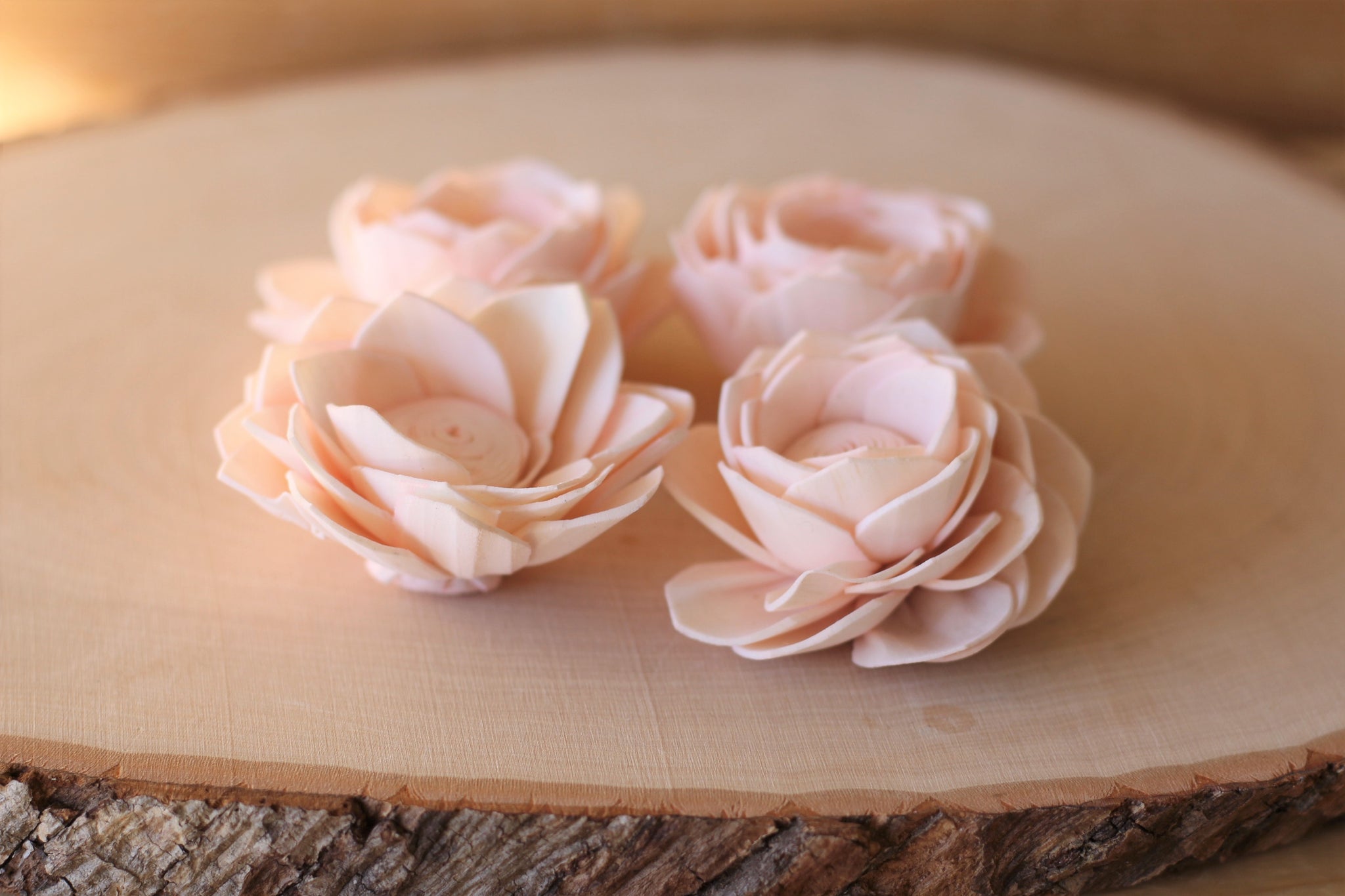 Blush Pink Sola Wood Poppy Flowers 2" ( Set of 12 )