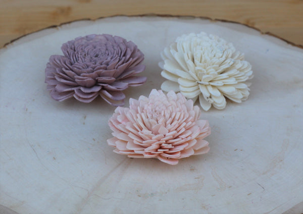 2" sample sola wood flower pack