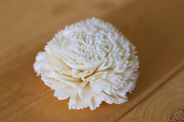 Wholesale/Bulk Sola Carnations 2"