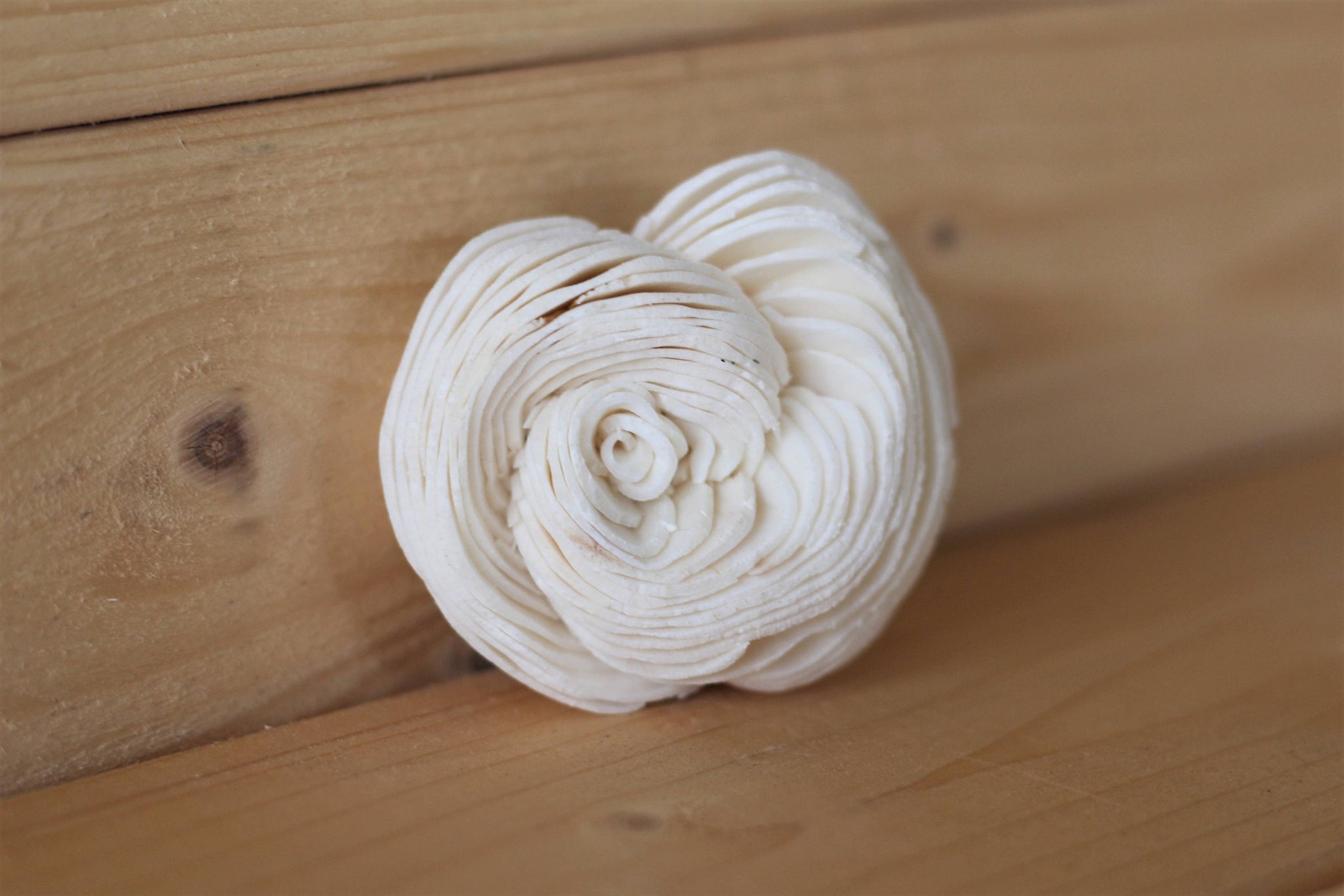 Sola Shell Flowers 2"  ( Set of 12 )