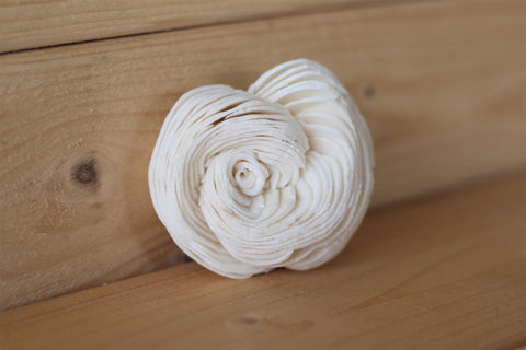 Sola Shell Flowers 2"  ( Set of 12 )