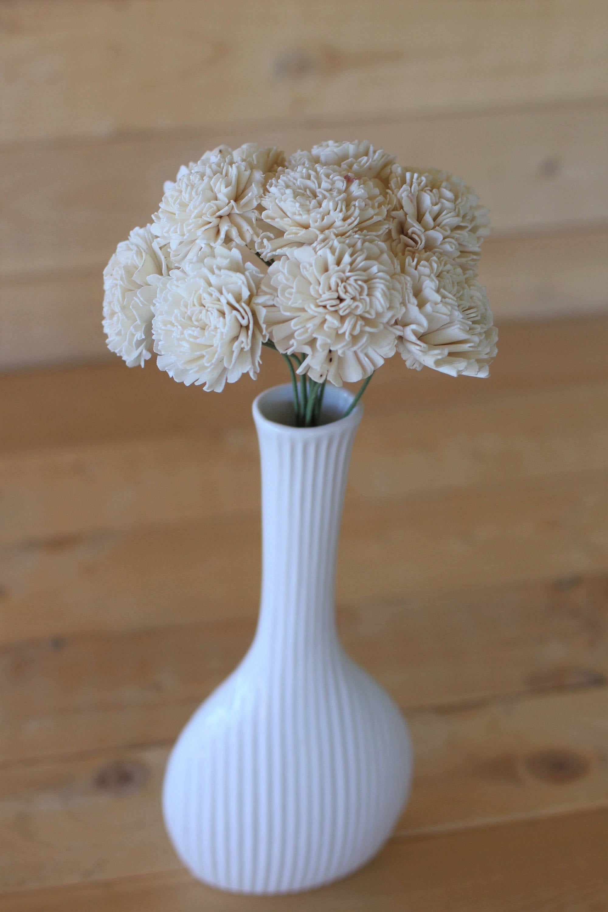 12 Stemmed Sola Wood Carnation Flowers, Sola Flowers on Wire Stems