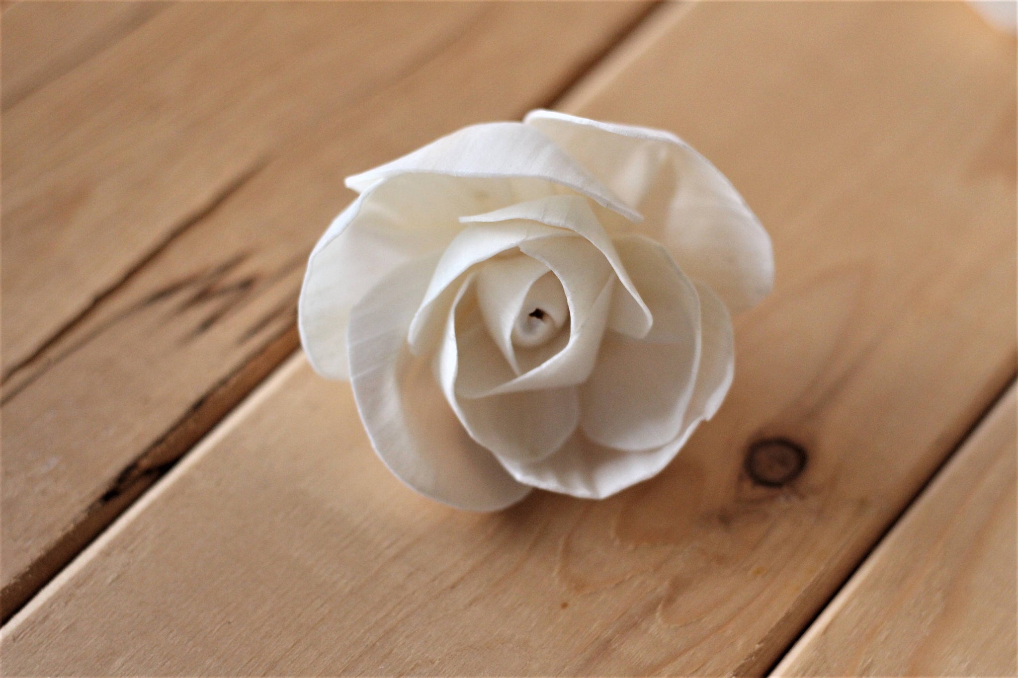 Sola Wood Love Rose 2" (Set of 12)