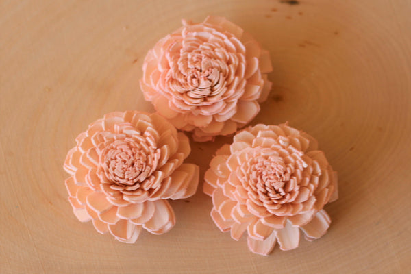 Blush Pink Sola Wood Bali Flowers ( Set of 12 )