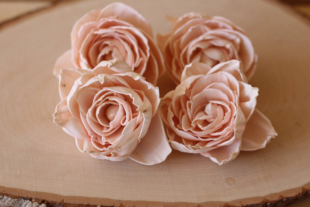 Blush Pink Sola Wood Peonies ( Set of 12 ) – SolaFlowerStore