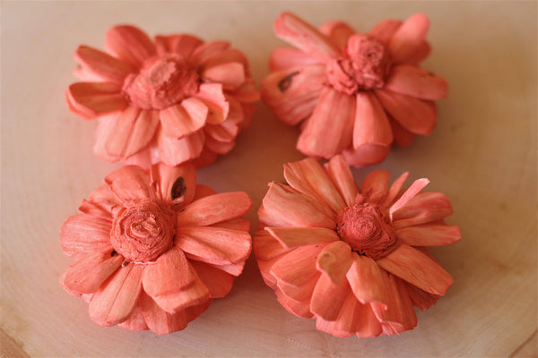 Coral Sola Wood Bali Flowers ( Set of 12 )