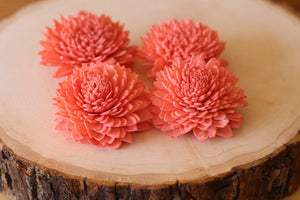 Coral Sola Wood Zinnia Flowers ( Set of 12 )