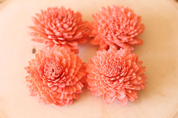 Coral Sola Wood Zinnia Flowers ( Set of 12 )