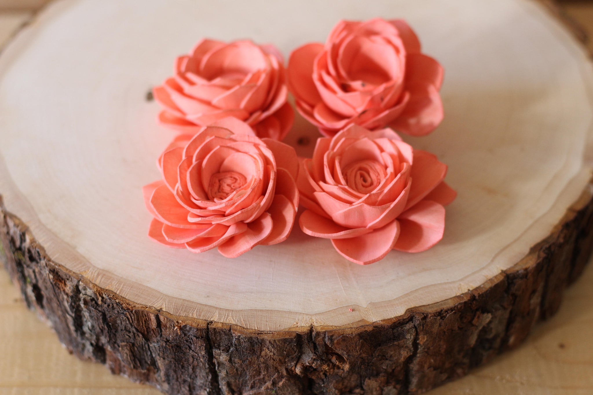 Coral Sola Wood Poppy Flowers ( Set of 12 )