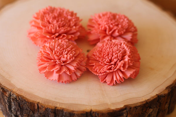 Coral Sola Wood Carnations ( Set of 12 )