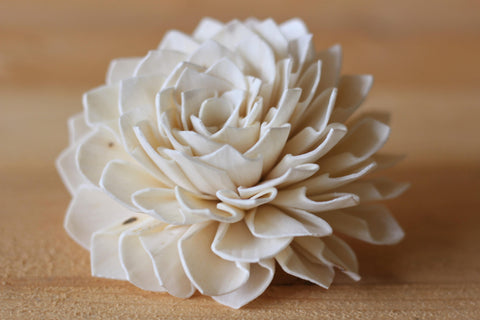 Large Sola Dahlias 4" ( Set of 5 )