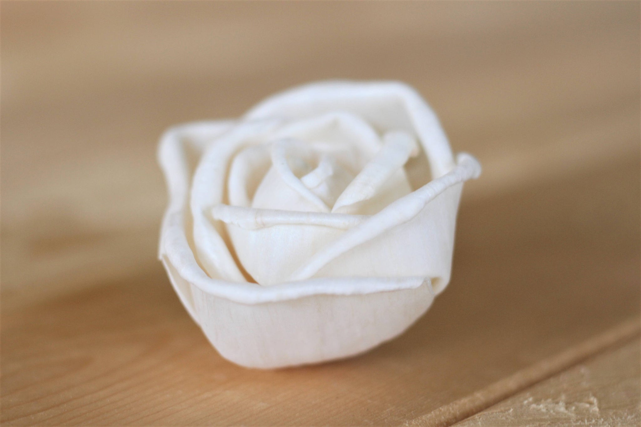 Sola Premium Roses 2.5" - Set of 12