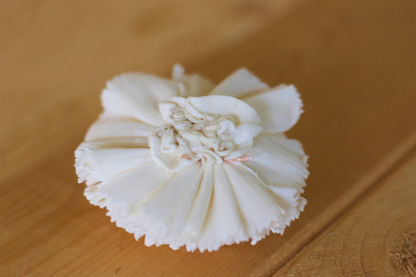 Sola Wood Carnations 2"