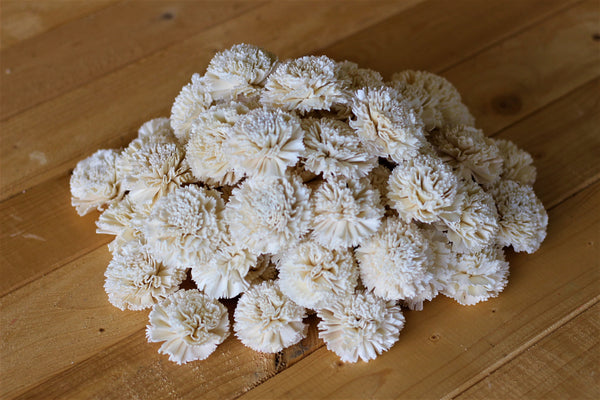Wholesale/Bulk Sola Carnations 2" ( 25 count )