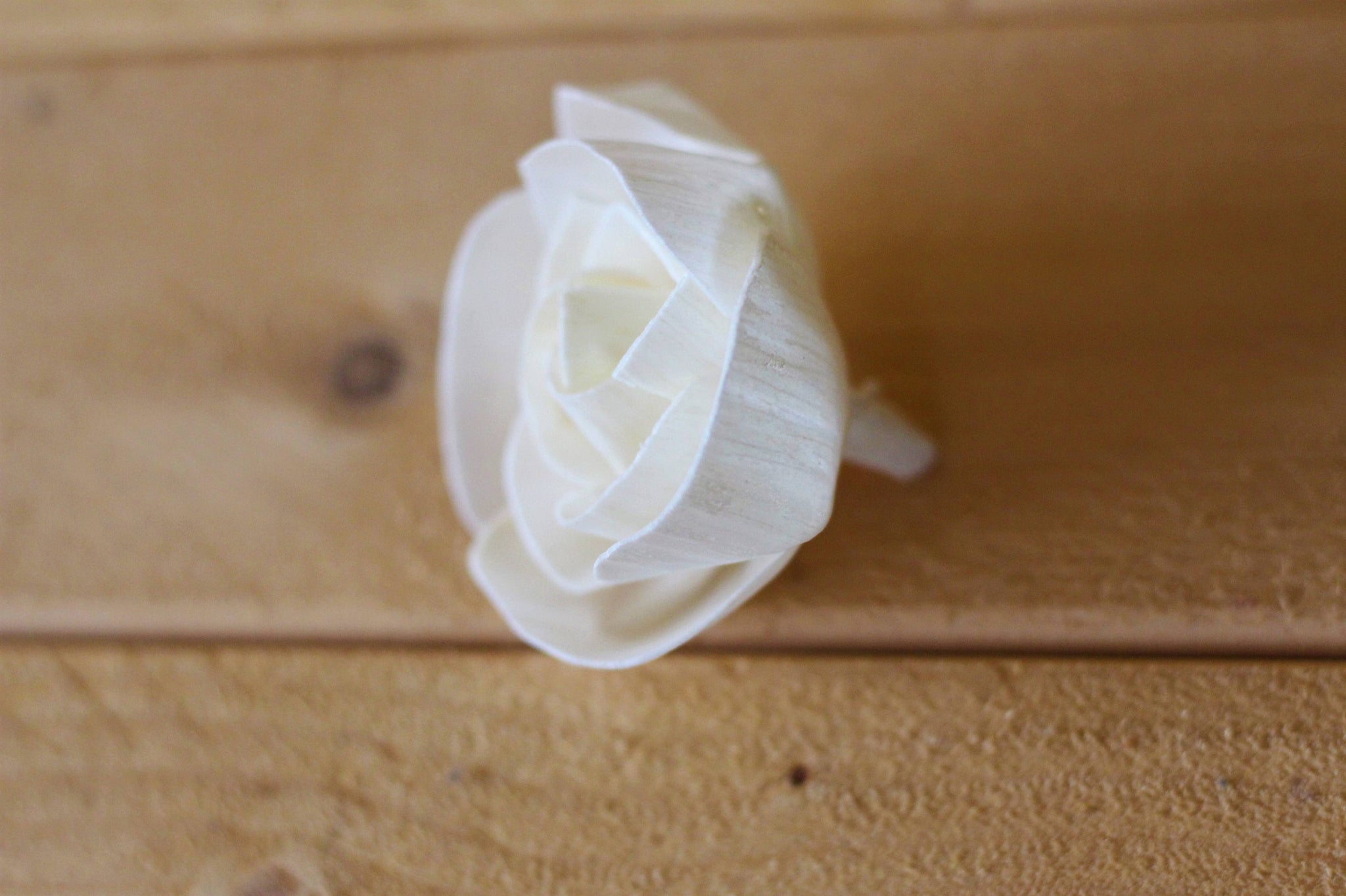 sola♡ Sola Wood Love Rose 2