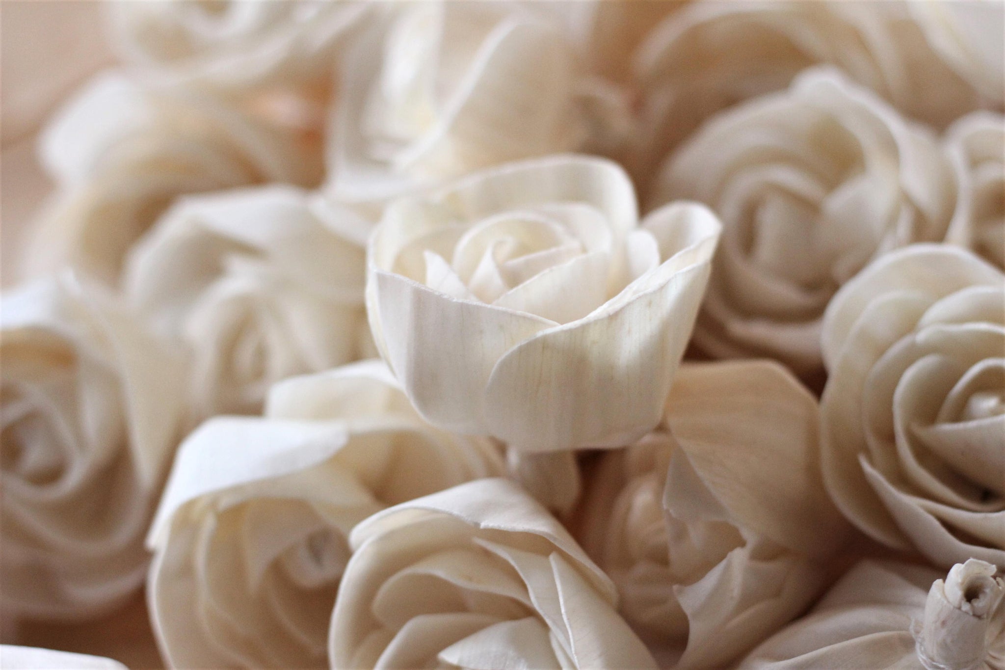 sola♡ Sola Wood Love Rose 2