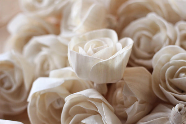 Sola Wood Love Rose 2" (Set of 12)