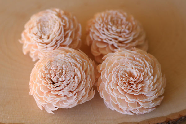 Blush Pink Sola Wood Chorki Flowers ( Set of 12 )