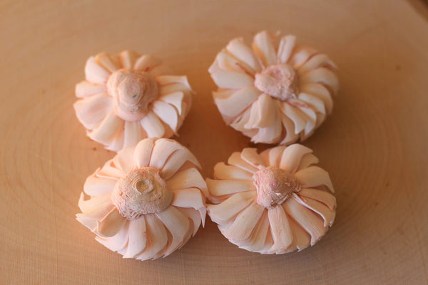 Blush Pink Sola Wood Chorki Flowers ( Set of 12 )