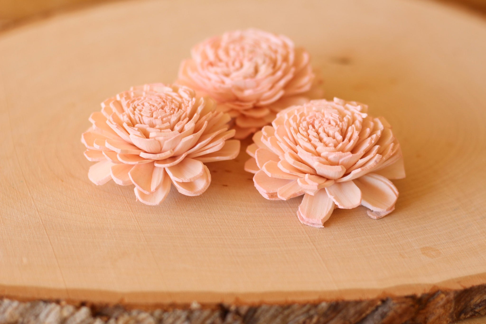 Blush Pink Sola Wood Bali Flowers ( Set of 12 )