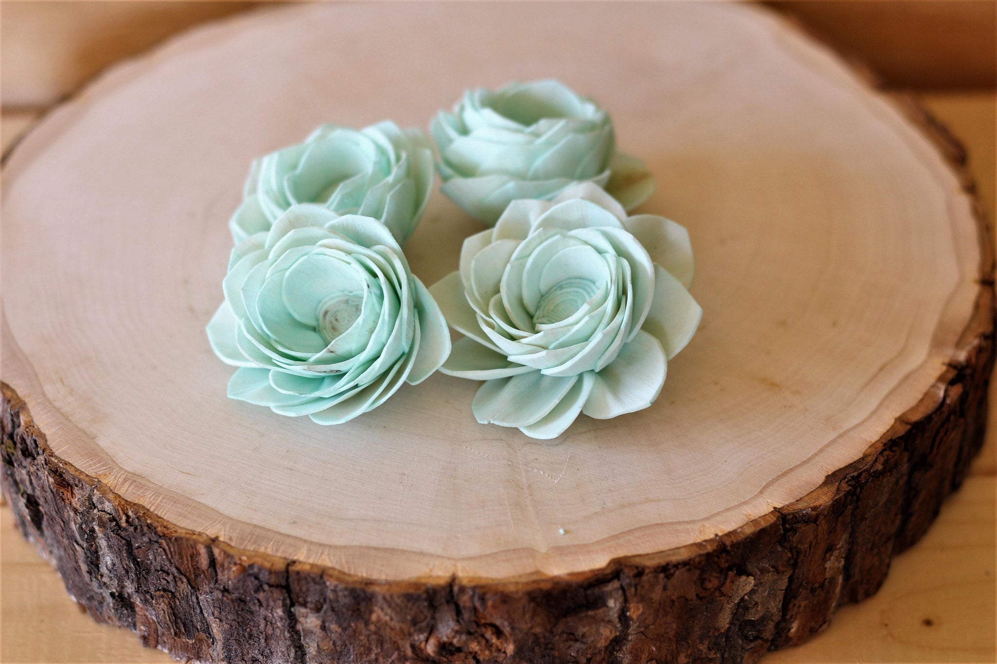 Mint Sola Wood Poppy Flowers ( Set of 12 )