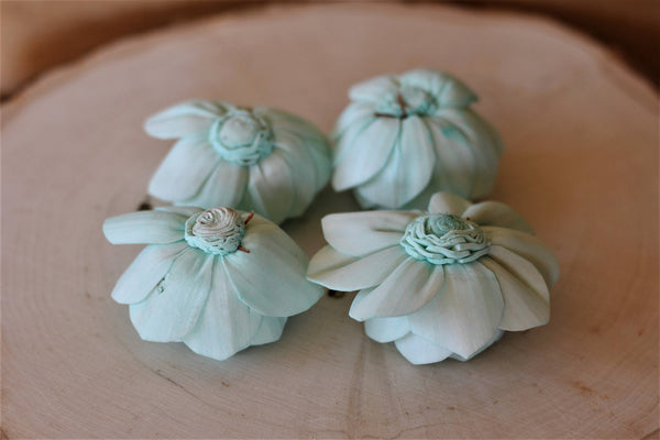 Mint Sola Wood Poppy Flowers ( Set of 12 )