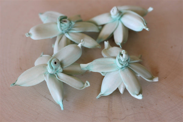 Mint Sola Wood Gardenia ( Set of 12 )