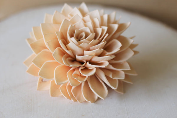 Peach Sola Dahlias 4" ( Set of 5 )