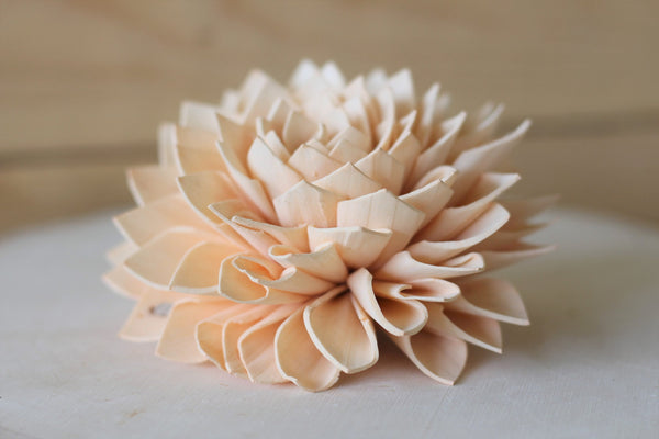Peach Sola Dahlias 4" ( Set of 5 )