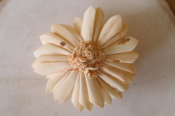 Peach Sola Dahlias 4" ( Set of 5 )