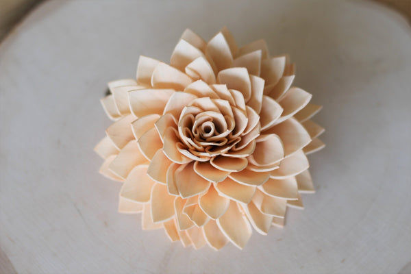 Peach Sola Dahlias 4" ( Set of 5 )