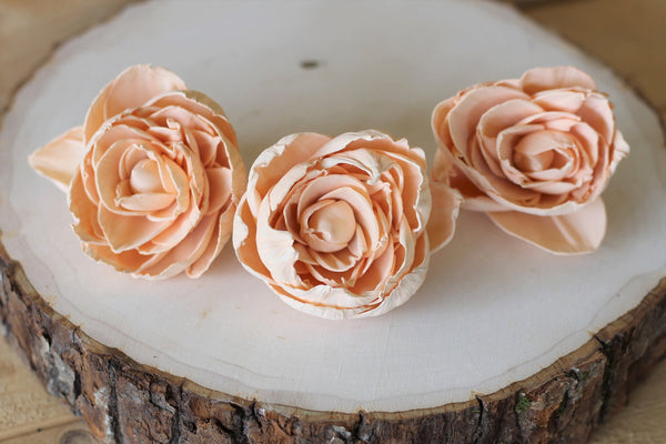 Peach Sola Wood Peonies ( Set of 12 )