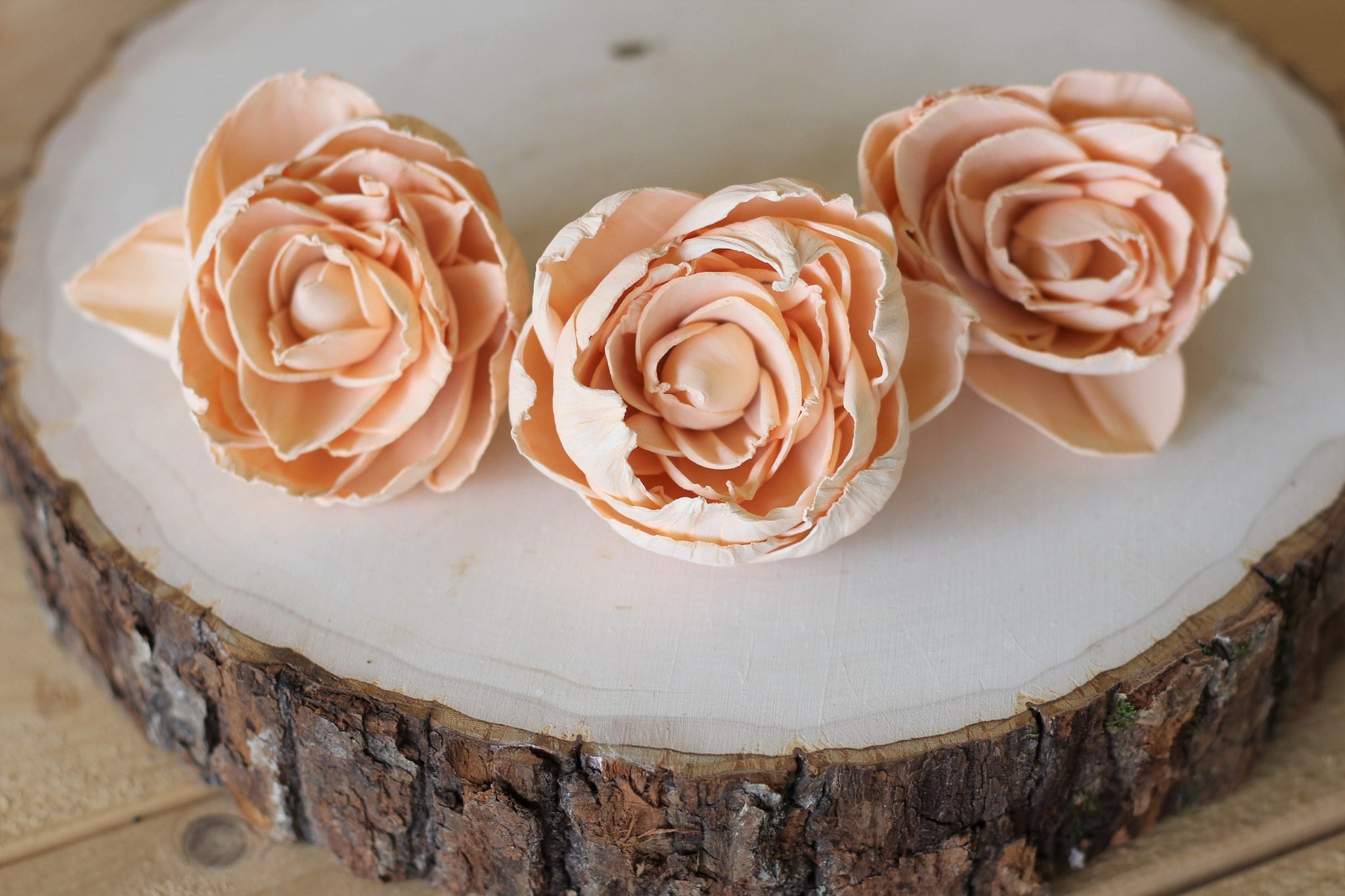 Peach Sola Wood Peonies ( Set of 12 )