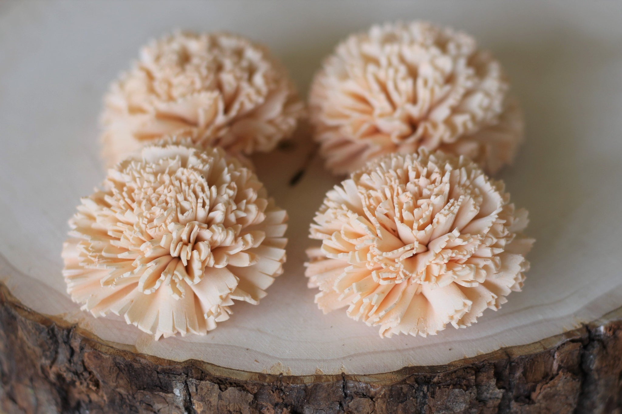 Peach Sola Wood Carnations ( Set of 12 )
