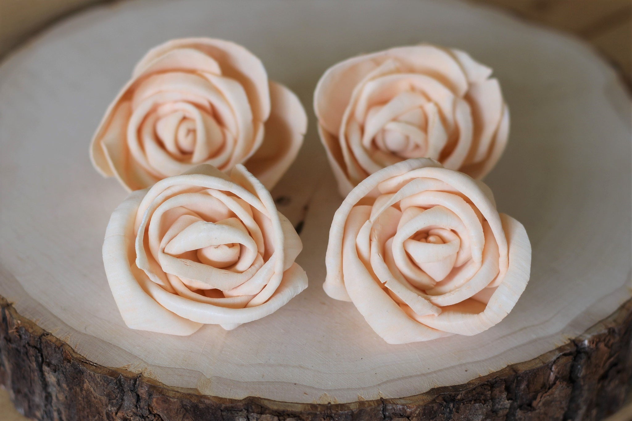 Peach Premium Sola Wood Flowers (Set of 12) – Sola Flower Store