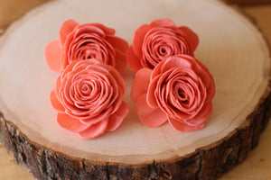 Coral Sola Wood English Rose ( Set of 12 )