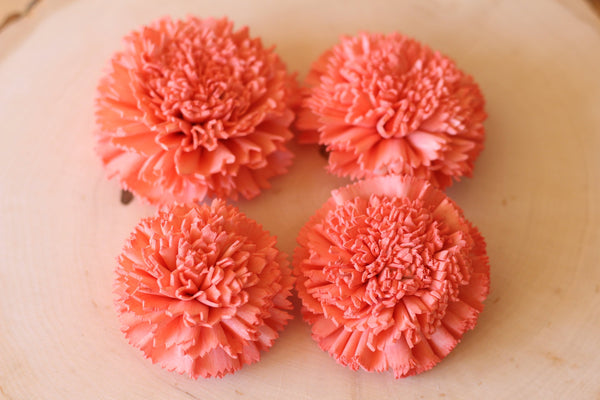 Coral Sola Wood Carnations ( Set of 12 )