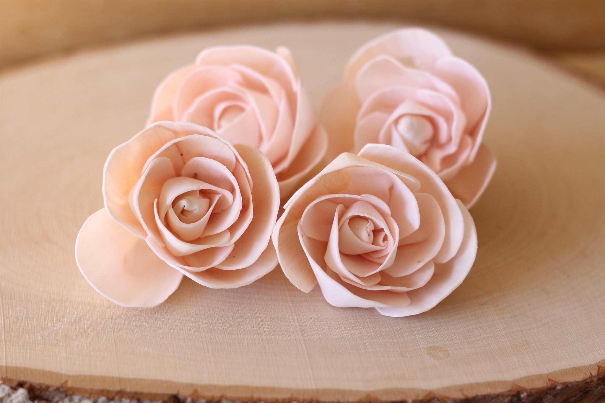 Blush Pink Love Rose Sola Wood Flowers (Set of 12)