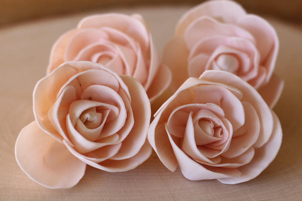 Blush Pink Love Rose Sola Wood Flowers (Set of 12)