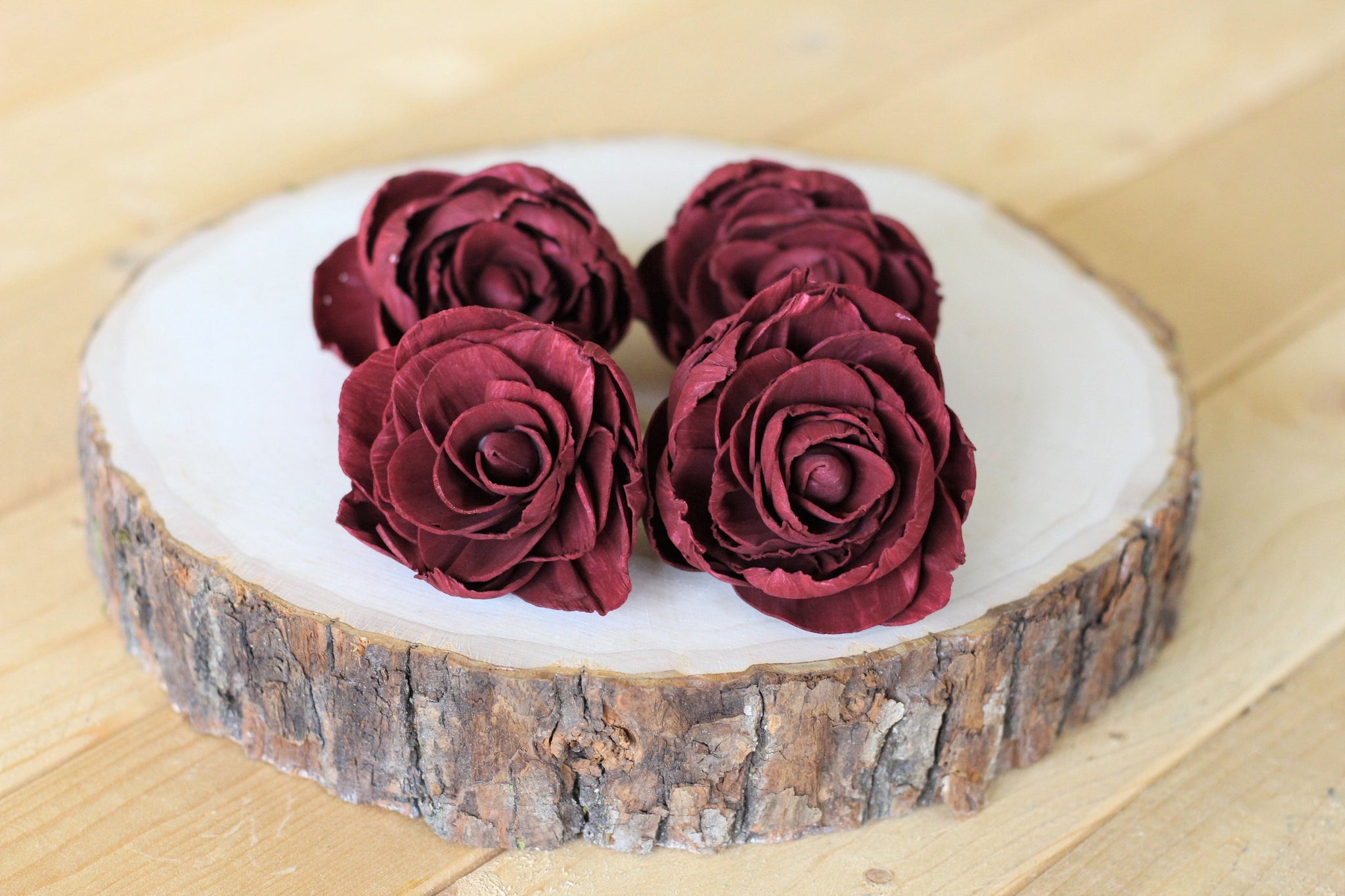 Burgundy Marsala Sola Wood Peonies ( Set of 12 )