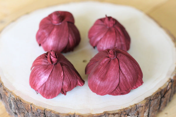 Burgundy Marsala Sola Wood Peonies ( Set of 12 )