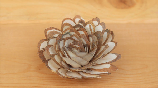 Wholesale/Bulk  Sola Wood Almond Flowers 2.5"