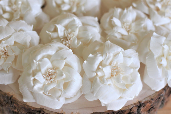 Sola Wood French Roses 2.5" - Pack of 6